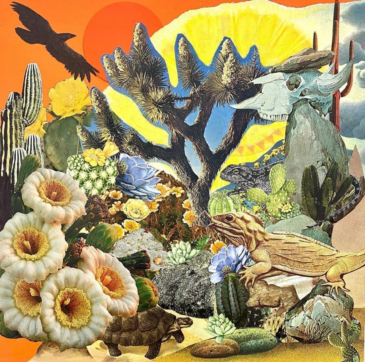 ØZWALD releases title track of new record, Garden of the Sun