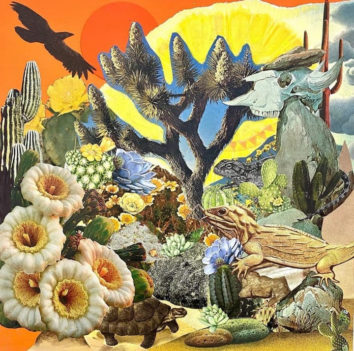 ØZWALD releases title track of new record, Garden of the Sun