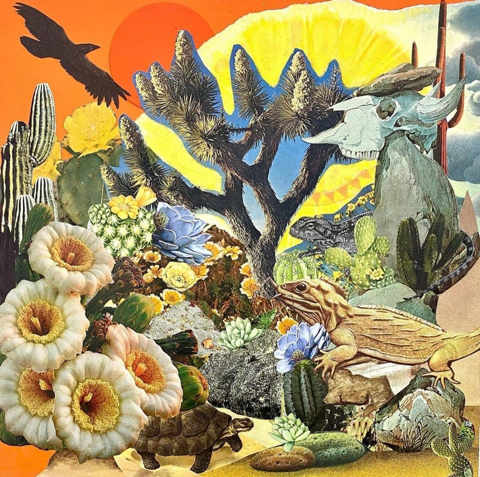 ØZWALD releases title track of new record, Garden of the Sun